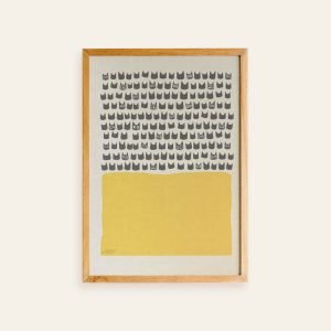 Shadow Medicine Package